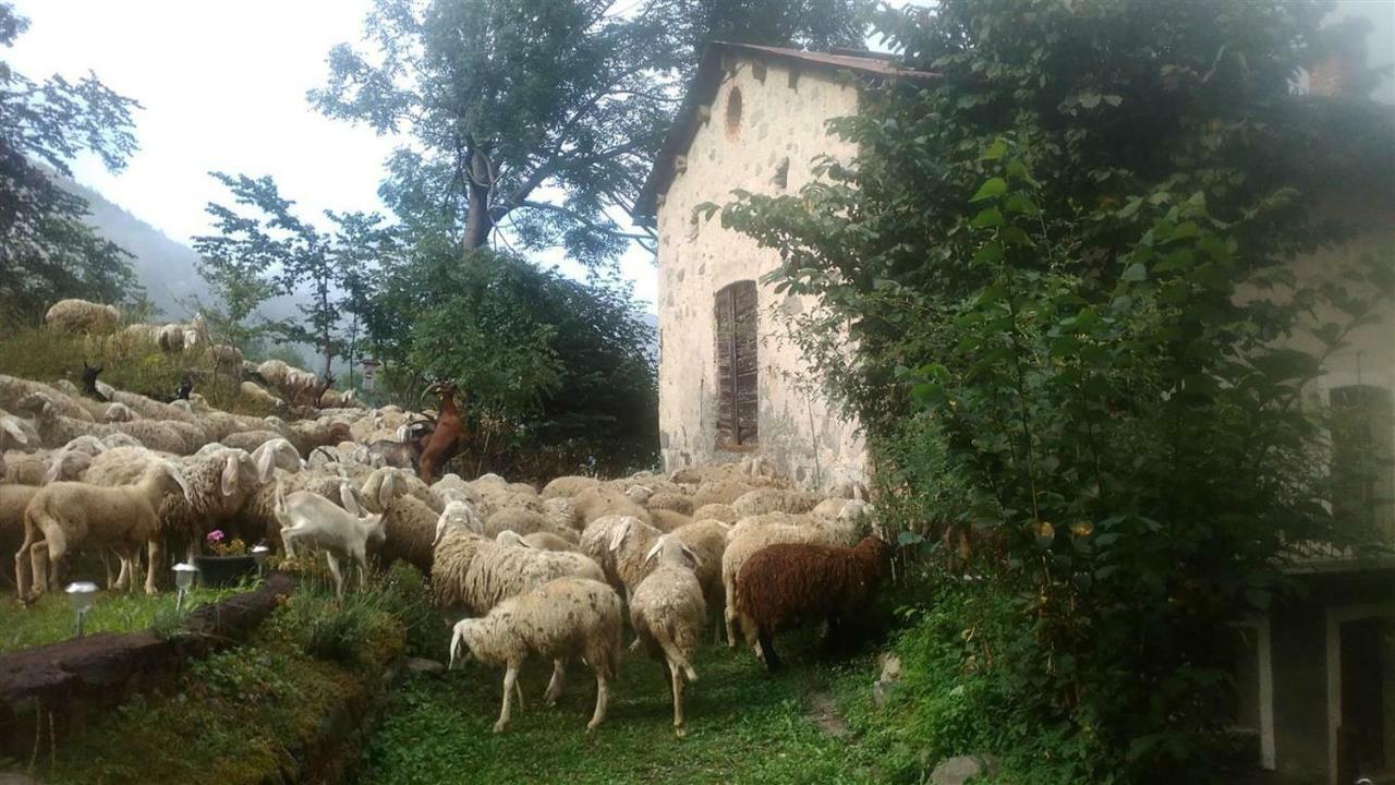 B&B L'Abric - Centro Storico Di Limonetto 리모네피에몬테 외부 사진